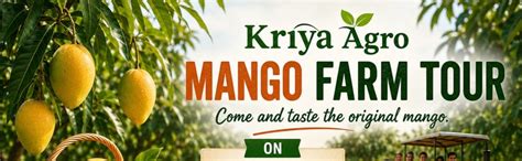 Attend Kriya Agro Mango Farm Tour in Bangalore on May 23, 2026 | AllEvents