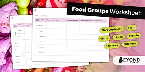 Food Groups Worksheet | KS3 | Beyond Science