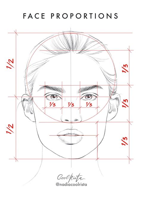 Image result for Face Proportion Drawing Lesson