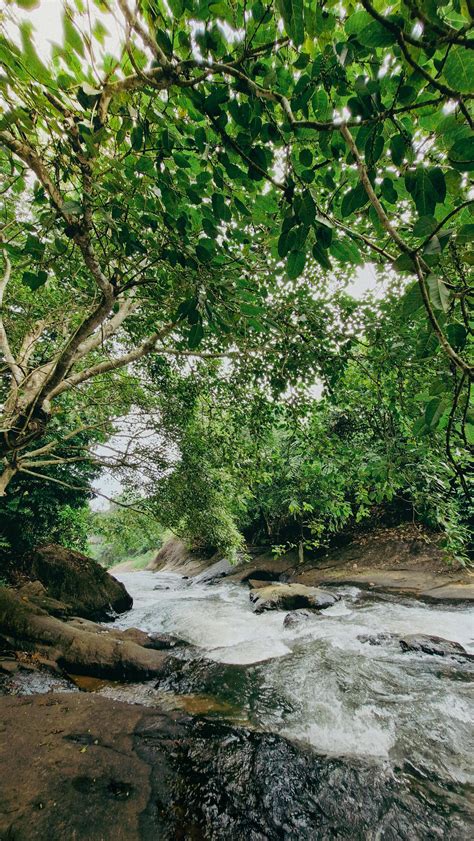 Education 4K Images 的图像结果