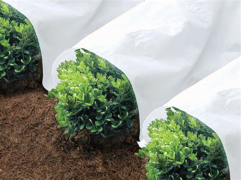 Image result for Cladding Insect Barrier