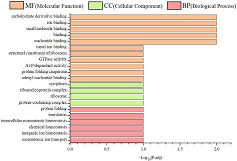 Spexin-Mediated Dietary Adaptation in Siniperca chuatsi: Molecular ...