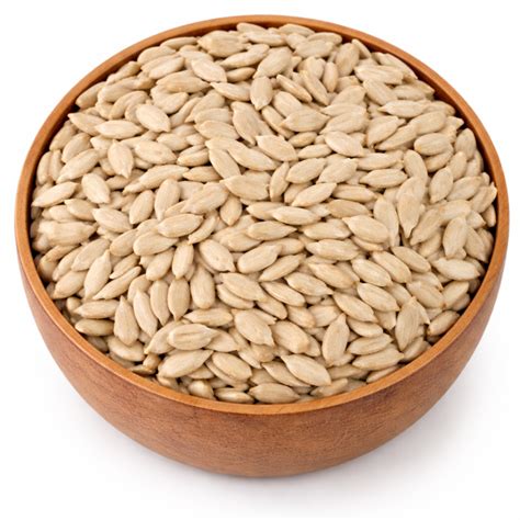 Seedcare Flax Seeds | Premium Raw Alsi Seeds High in Fibre