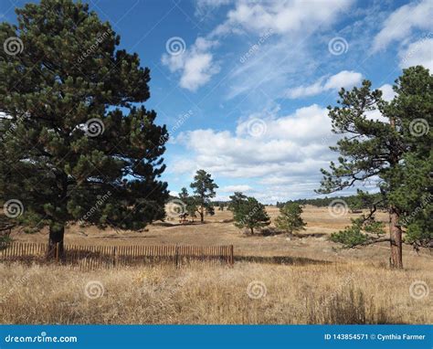 Elk Meadow Park in Evergreen, Colorado Stock Image - Image of white ...