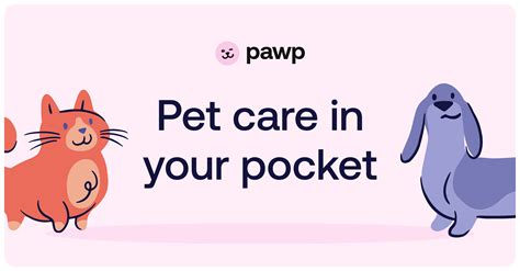 Laithwaites Wine Club Review – Amyyc.com