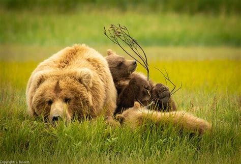 Once in a lifetime - Reviews, Photos - Emerald Air Service, Inc ...