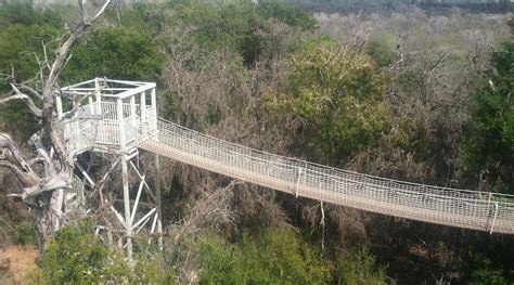 TEXAS INN ALAMO - Hotel Reviews, Photos, Rate Comparison - Tripadvisor