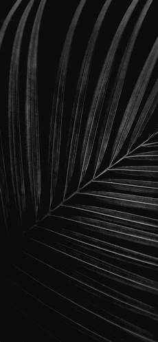 Iphone X Wallpaper Black by 50 Best High Quality Iphone X Wallpapers Backgrounds Iphone X Wallpaper Black