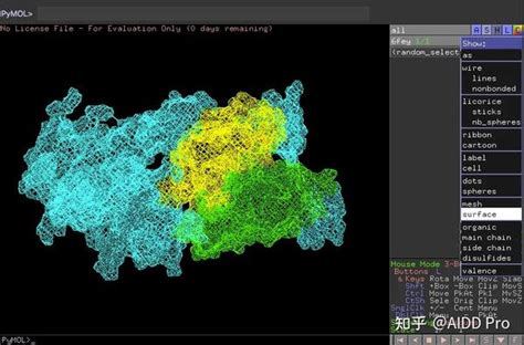 PyMOL Structure Alignment 的图像结果