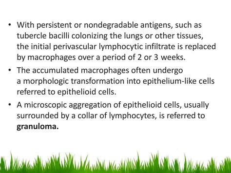 Immunopathology | PPTX