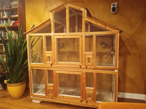 Image result for Bird Box for Conures