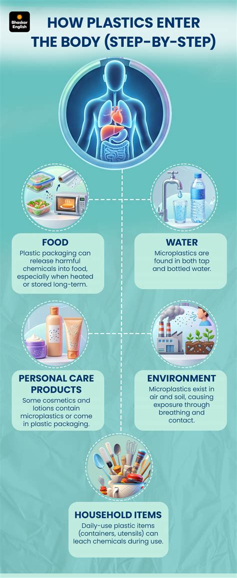 Plastic Fertility Impact Explained; Gynaecology Expert Advice | BPA ...