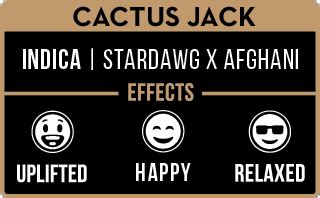 AMBIL SEKARANG