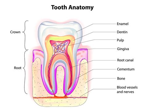 What to do if a tooth is cracked? | CURAPROX