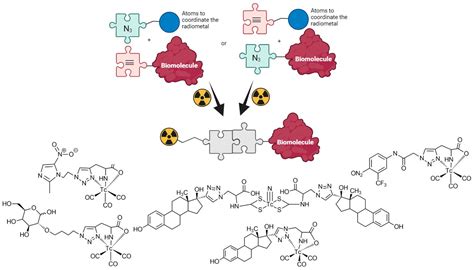 Synthesis of a [18F]F Estradiol Derivative via Click Chemistry Using an ...