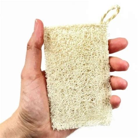 Loofah Sponge - Rectangular Loofah Scrub Trader - Wholesaler ...