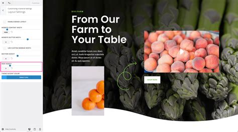 Image result for Diviadjust Padding