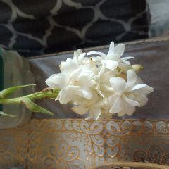 Ka ku (Midori Hailsky) Quotes | YourQuote