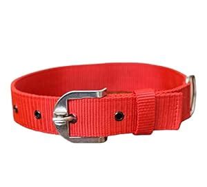 Buy Royal Feline Dog Collar for Large Dogs | Adjustable Dog Neck Collar ...