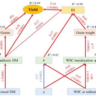 Image result for Structural Equation Modeling INR