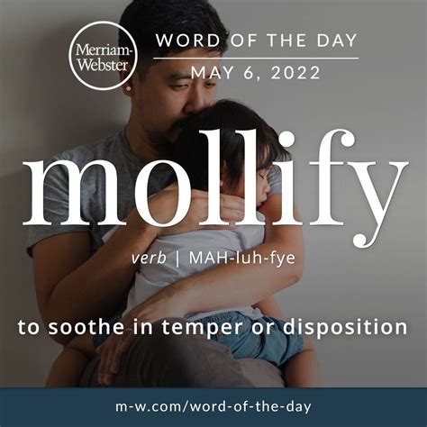 Word of the Day: Mollify in 2025 | Interesting english words, Learn ...