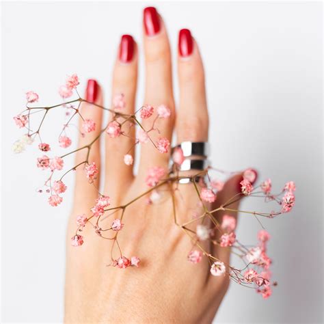 Our offer – Tulip Palace Ladies Salon