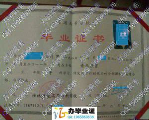 桂林旅游高等专科学校2000年毕业证样本/图片-受益网