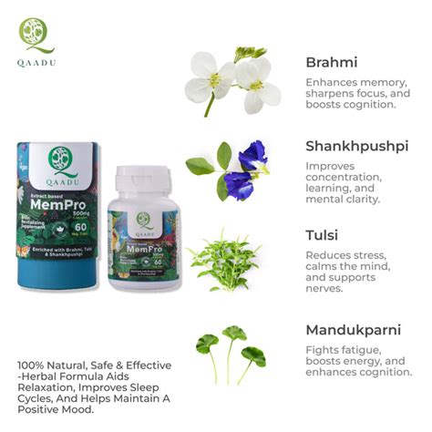 Unlock Your Mind's Potential with Qaadu MEMPRO - Boost Memory & Brain ...