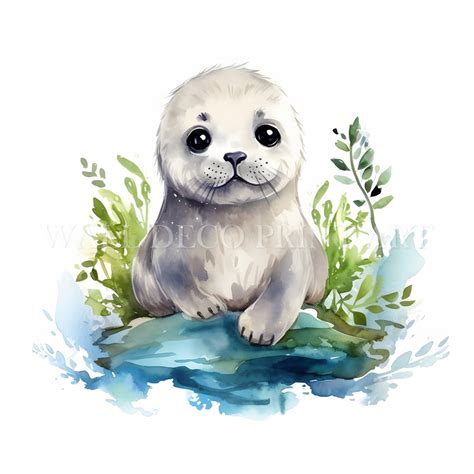 Cute Baby Seal Clipart Bundle - 12 High Quality Jpgs - Digital ...