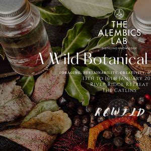 A Wild Botanical Journey - Summer Masterclass of Foraging ...