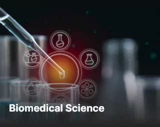 Top M.Sc. Program | Shobhit University | Apply Now