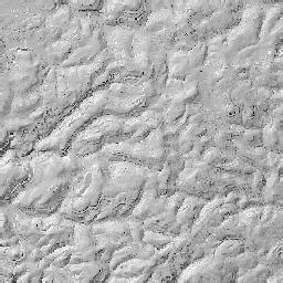 Profile Map 的图像结果