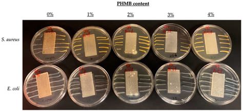 Antiviral and Antibacterial 3D-Printed Products Functionalised with ...