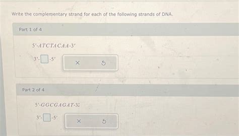 Image result for Write the Complementary DNA Strand