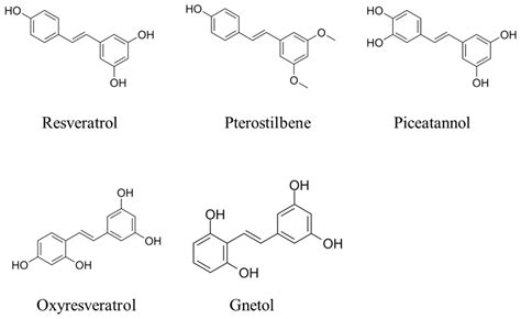 Unlocking Gut Health: The Potent Role of Stilbenoids in Intestinal ...