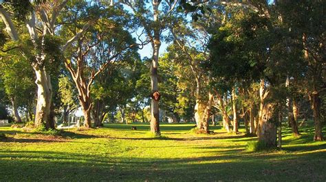 Dunwich Cemetery, North Stradbroke Island - Tripadvisor