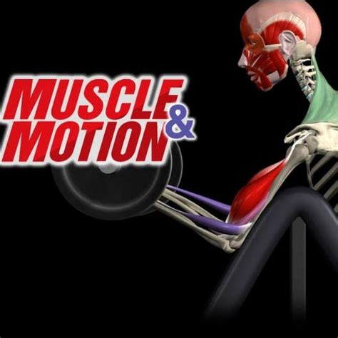 Image result for Muscle and Motion.com