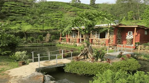 Bhromon Sathi - Services