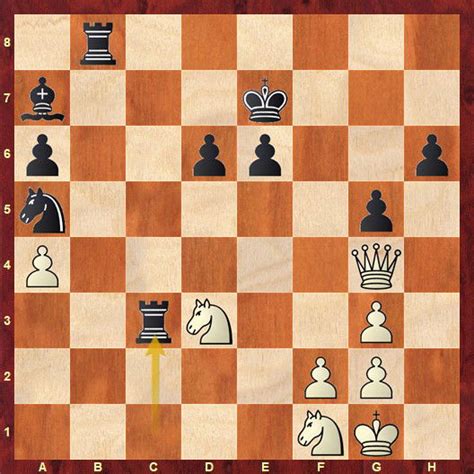 Simon Bibby perfect at Osaka Chess Championship 2025 - ChessBase India