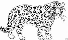 ausmalbilder tiere leopard ausmalbilder leopard gepard zum ausdrucken ausmalen ausmalbilder tiere leopard ausmalbilder leopard gepard zum ausdrucken ausmalen