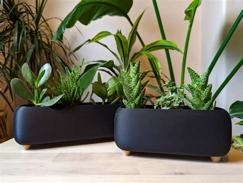 Black Rounded Rectangle Plant Pot With Feet, Modern Indoor Planter, 3D ...