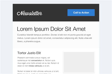 Image result for HTML Email Newsletter Examples