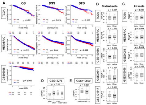NR2F1, a Tumor Dormancy Marker, Is Expressed Predominantly in Cancer ...