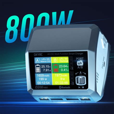 SKYRC D200 Neo AC DC Multi-Function Smart Charger – Havoc Hobby