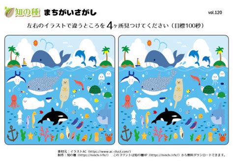 Image result for Pattern CS Program