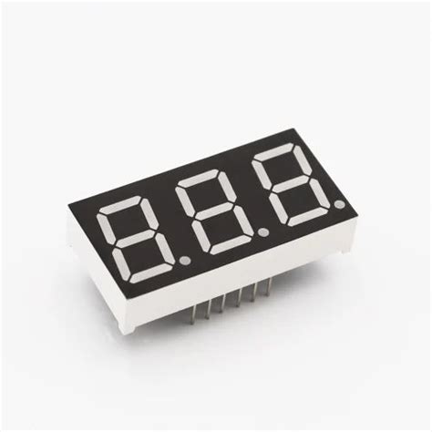 Seven Segment Display - 2 Digit 7 Segment Display Importer from Mumbai