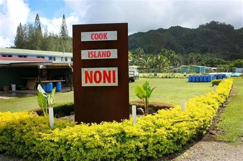 RARO TOURS - ISLAND DISCOVERY TOURS (2025) All You Need to Know BEFORE ...