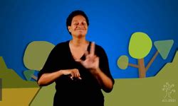 Semantic Classifiers ASL Examples 的图像结果