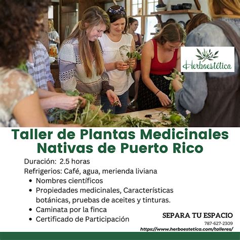 Taller de Plantas Medicinales Nativas de Puerto Rico, Herboestica, Moca ...