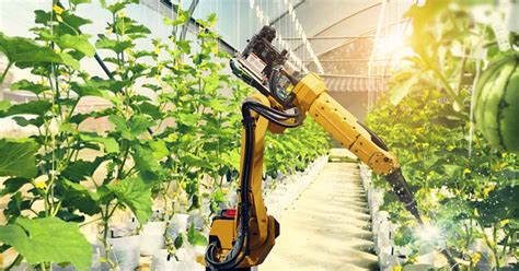 What is Artificial Intelligence (AI)? | Oracle India